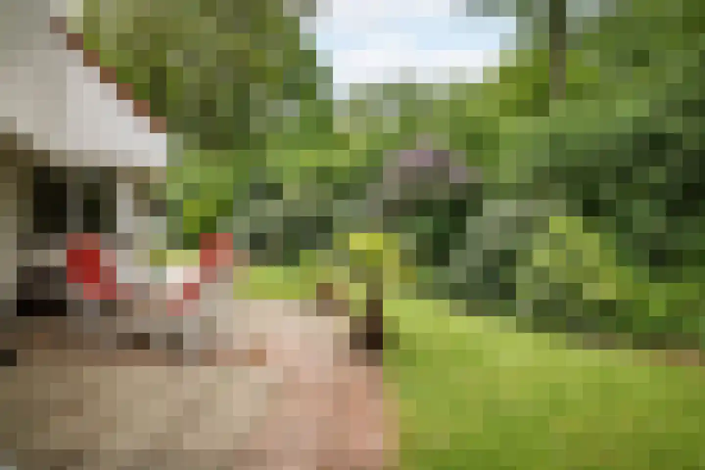 Vegerinkskamp 44 Bathmen thumbnail 32
