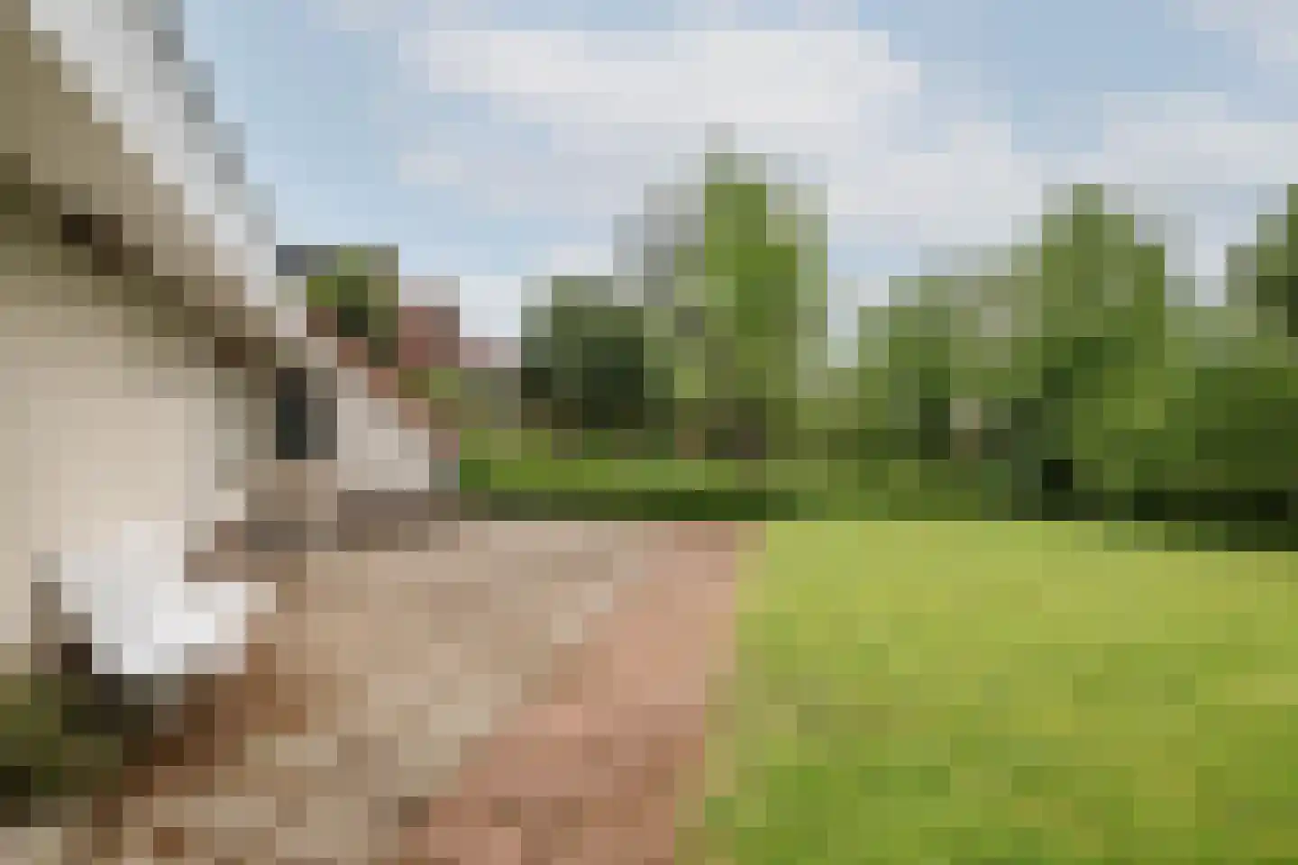 Vegerinkskamp 44 Bathmen thumbnail 34