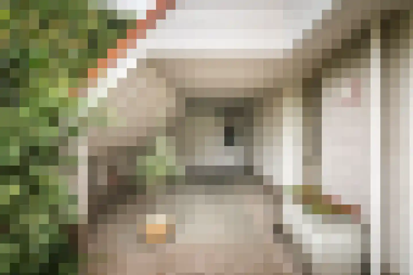 Vegerinkskamp 44 Bathmen thumbnail 37