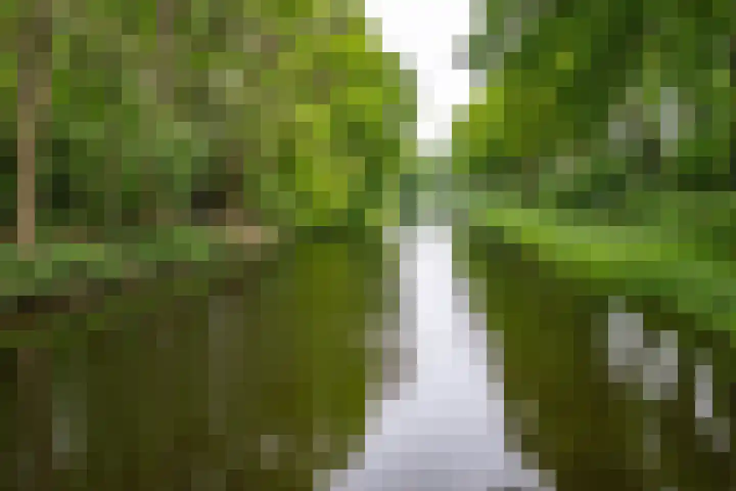 Vegerinkskamp 44 Bathmen thumbnail 40
