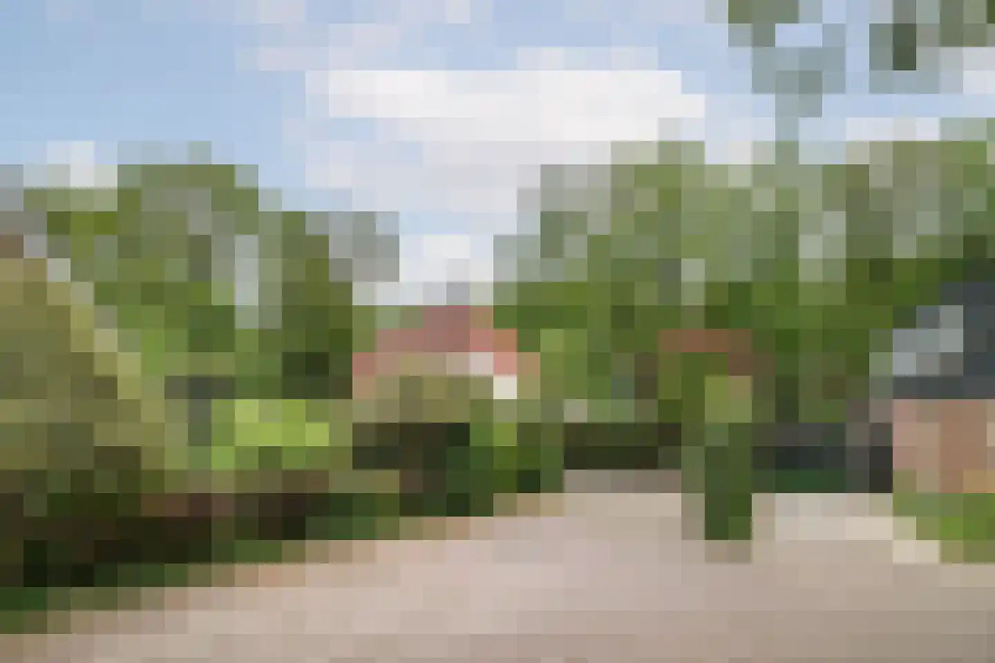 Vegerinkskamp 44 Bathmen thumbnail 41