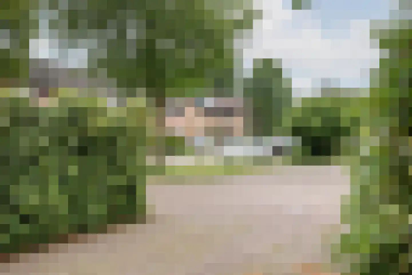 Vegerinkskamp 44 Bathmen thumbnail 42