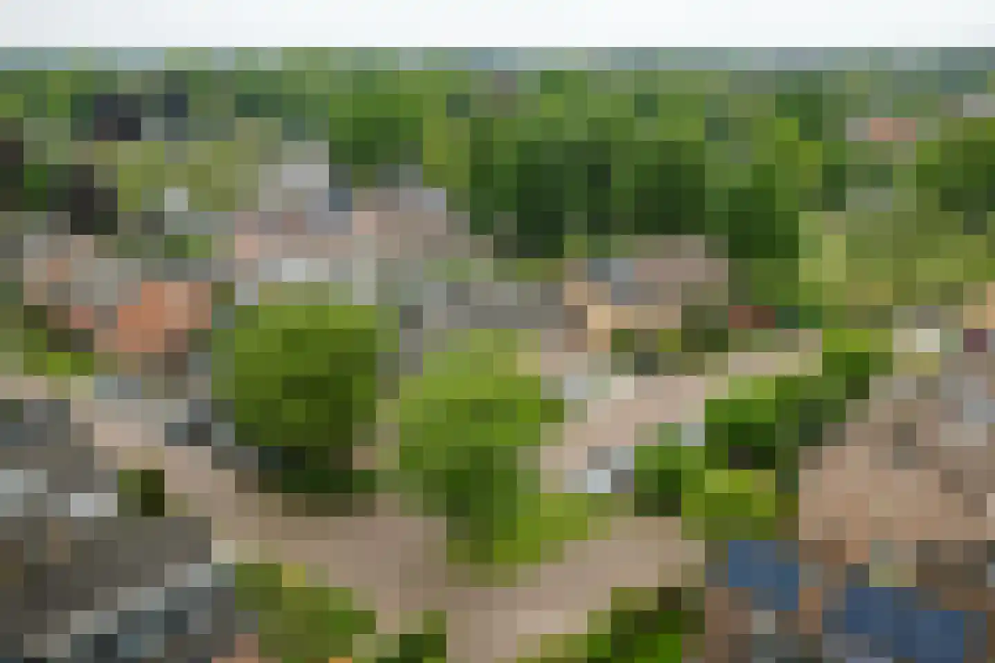 Vegerinkskamp 44 Bathmen thumbnail 43