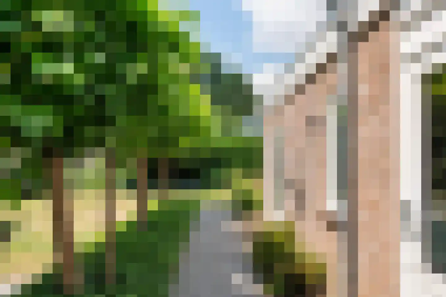 Vegerinkskamp 47 Bathmen thumbnail 37