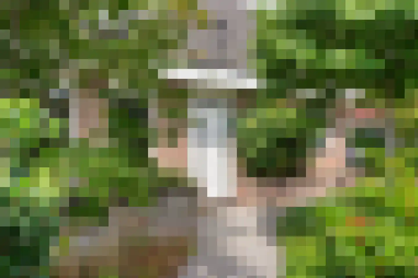Vegerinkskamp 47 Bathmen thumbnail 40