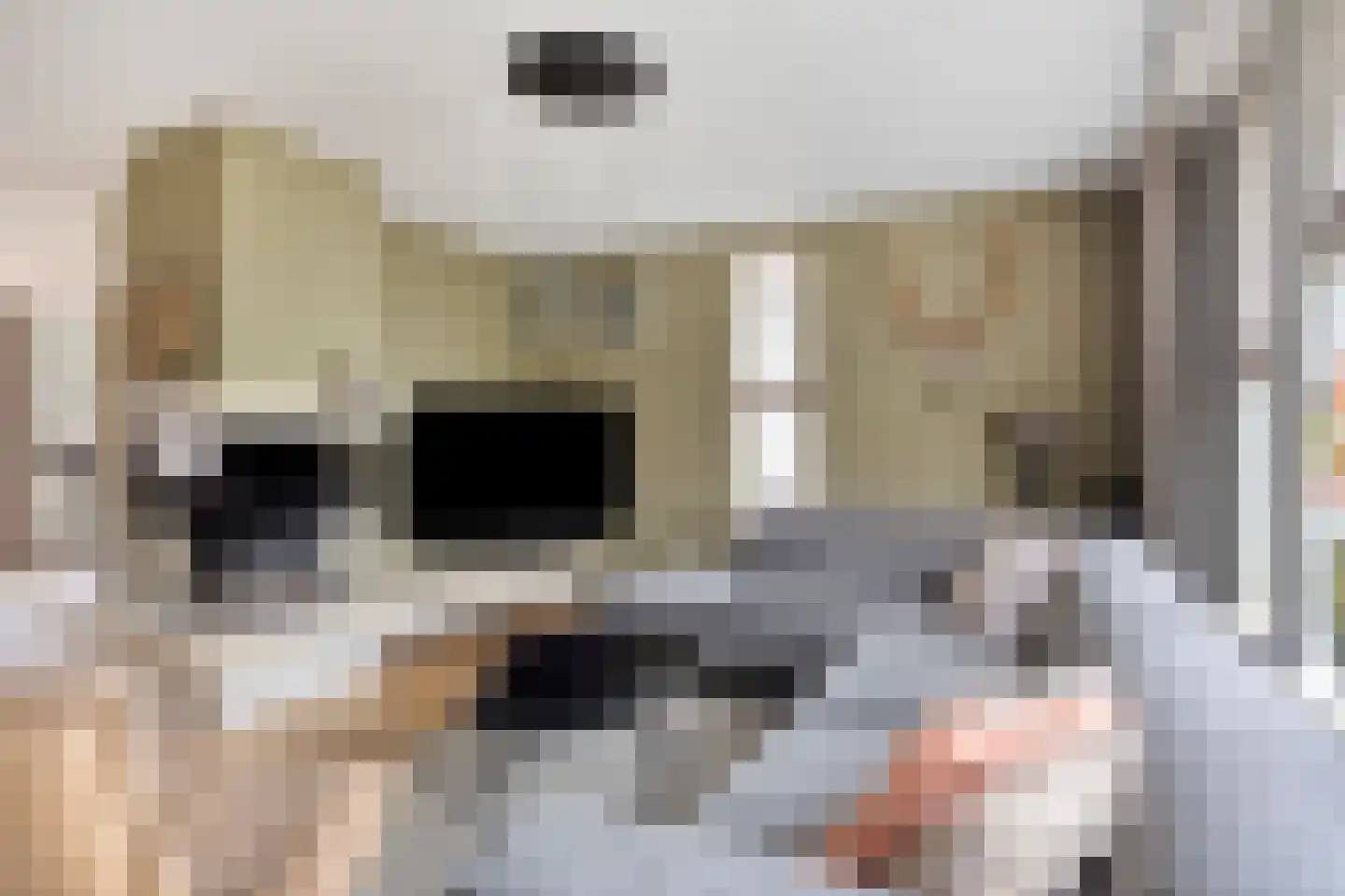 Veghelsedijk 26 Uden thumbnail 12