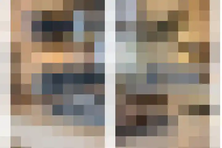 Veghelsedijk 26 Uden thumbnail 14