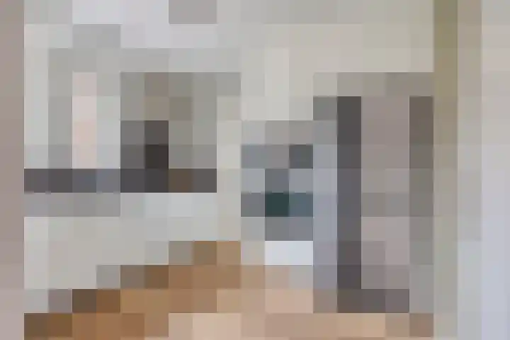 Veghelsedijk 26 Uden thumbnail 20