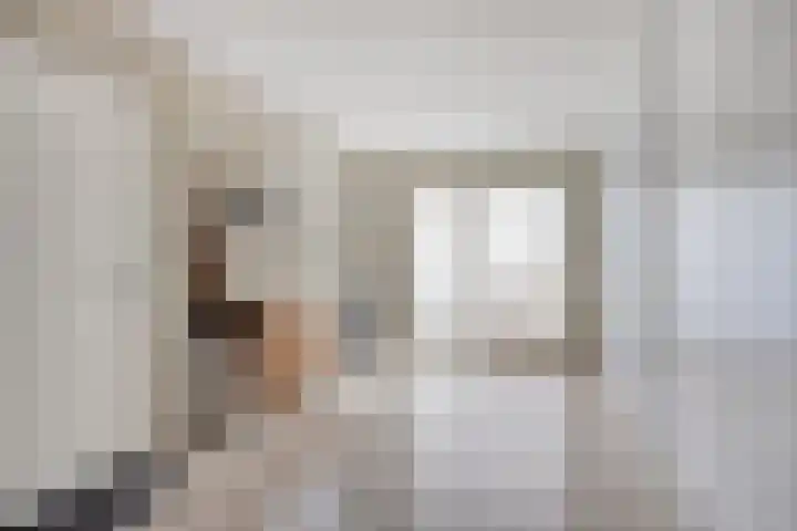 Veghelsedijk 26 Uden thumbnail 25