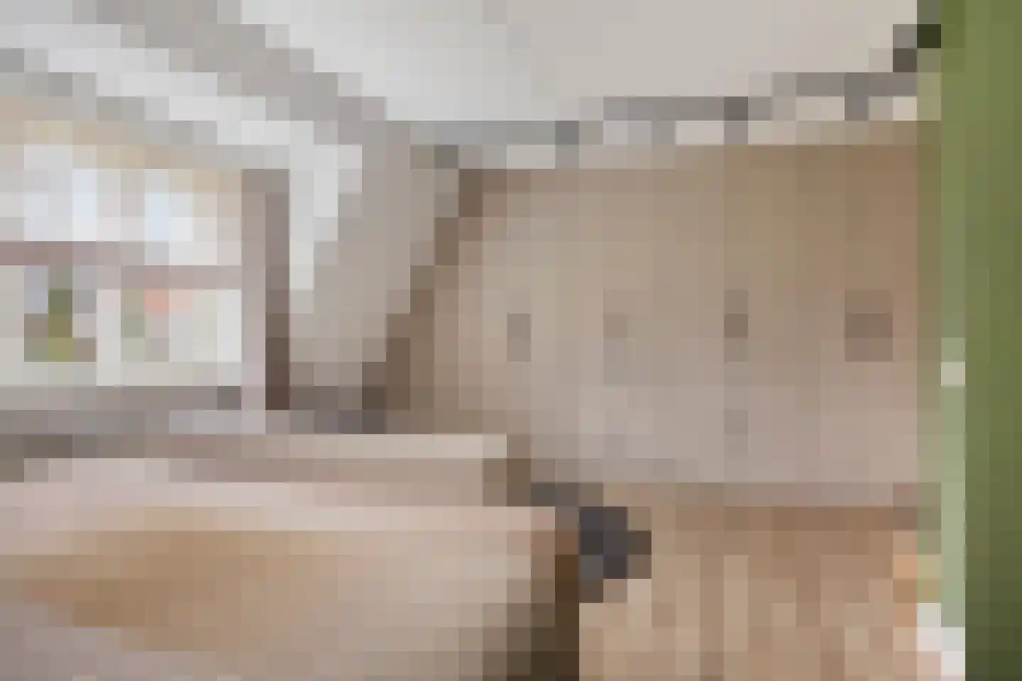 Veghelsedijk 26 Uden thumbnail 30