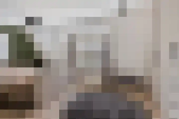 Veghelsedijk 26 Uden thumbnail 31