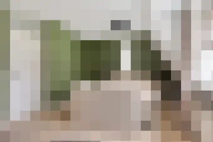 Veghelsedijk 26 Uden thumbnail 32