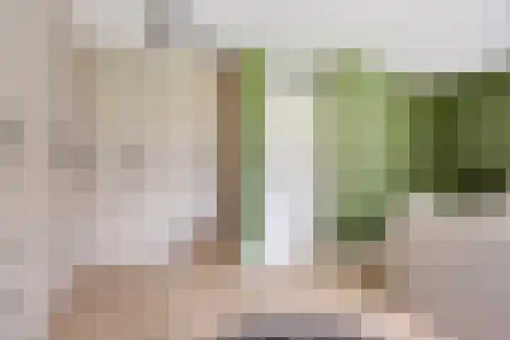 Veghelsedijk 26 Uden thumbnail 33