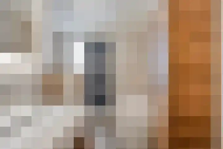 Veghelsedijk 26 Uden thumbnail 34