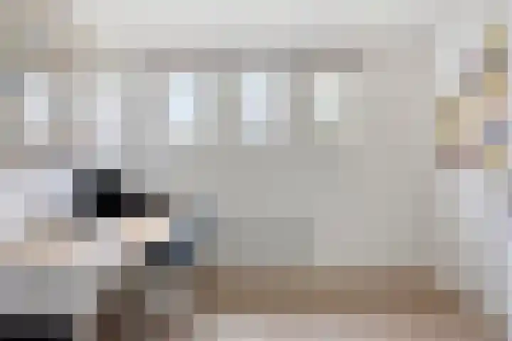 Veghelsedijk 26 Uden thumbnail 39