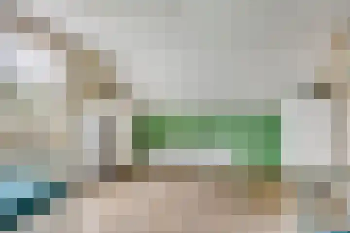 Veghelsedijk 26 Uden thumbnail 45