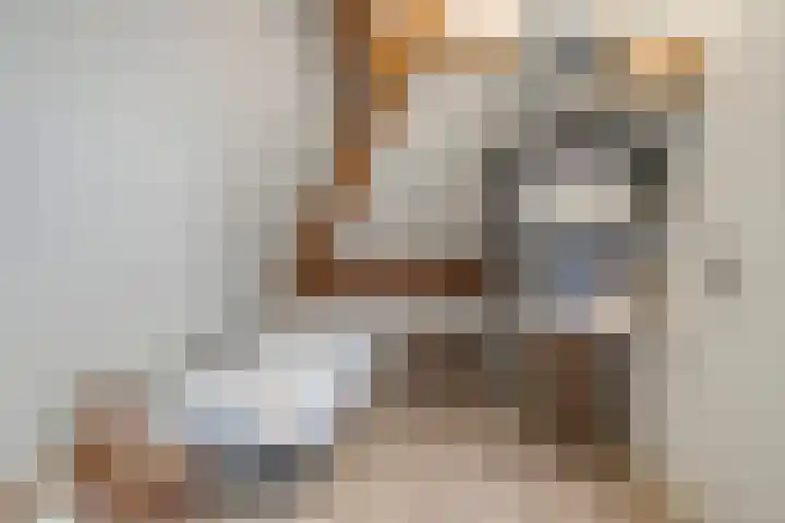 Veghelsedijk 26 Uden thumbnail 46