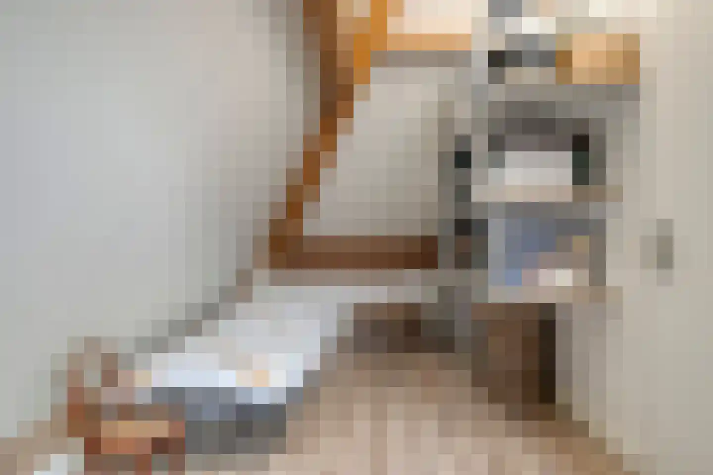 Veghelsedijk 26 Uden thumbnail 46