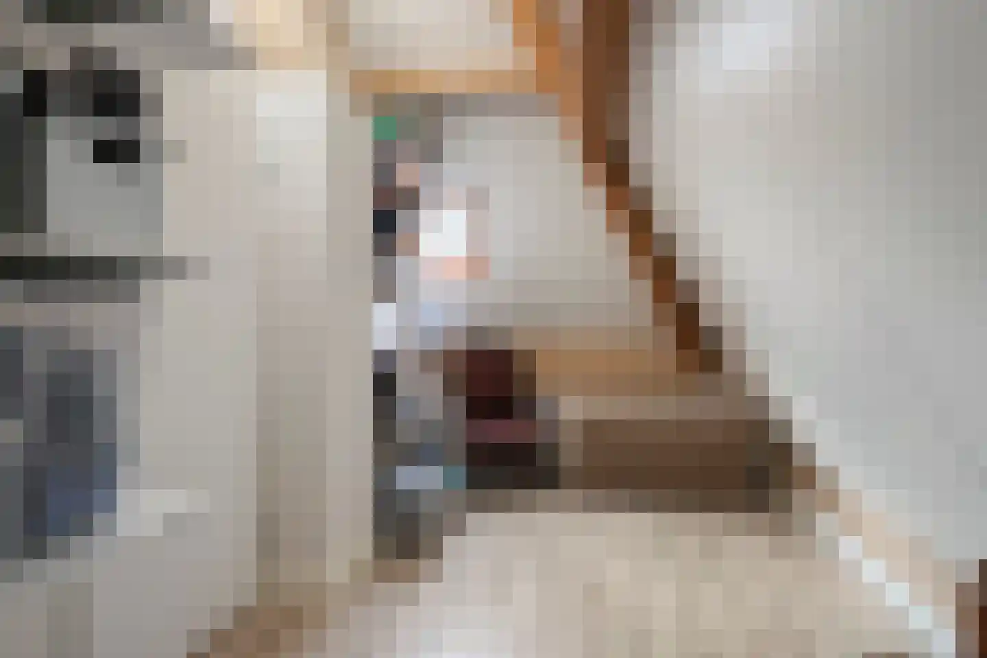 Veghelsedijk 26 Uden thumbnail 47