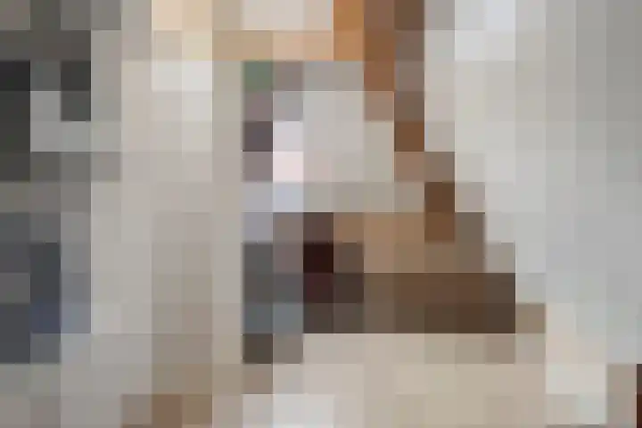 Veghelsedijk 26 Uden thumbnail 47