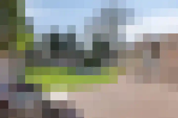 Veghelsedijk 26 Uden thumbnail 50