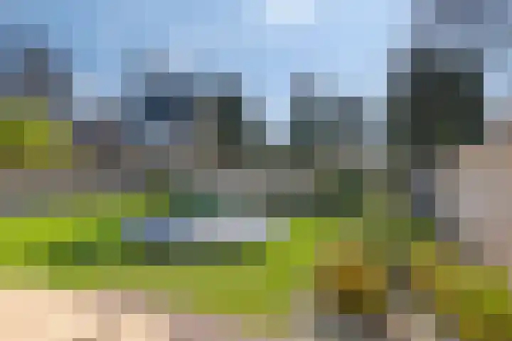 Veghelsedijk 26 Uden thumbnail 52