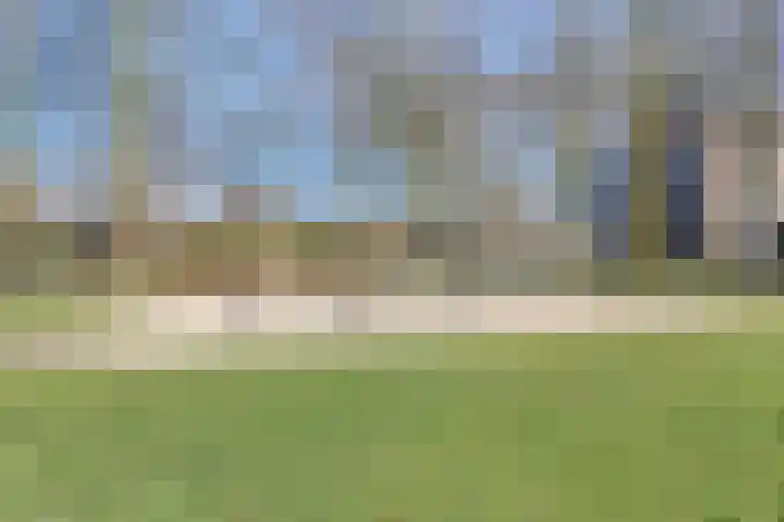 Veghelsedijk 26 Uden thumbnail 55