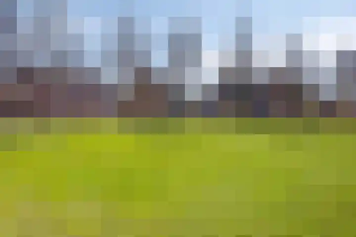 Veghelsedijk 26 Uden thumbnail 56
