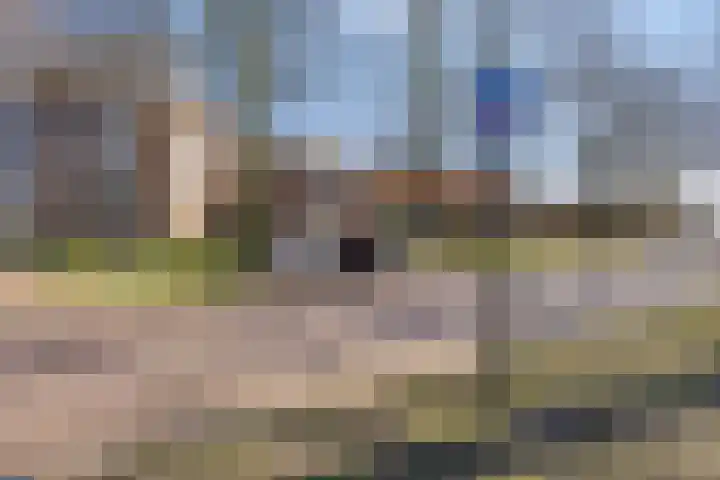 Veghelsedijk 26 Uden thumbnail 57