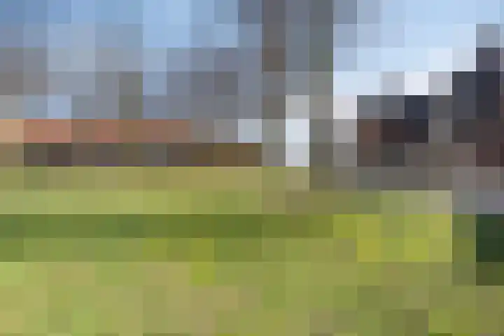 Veghelsedijk 26 Uden thumbnail 58