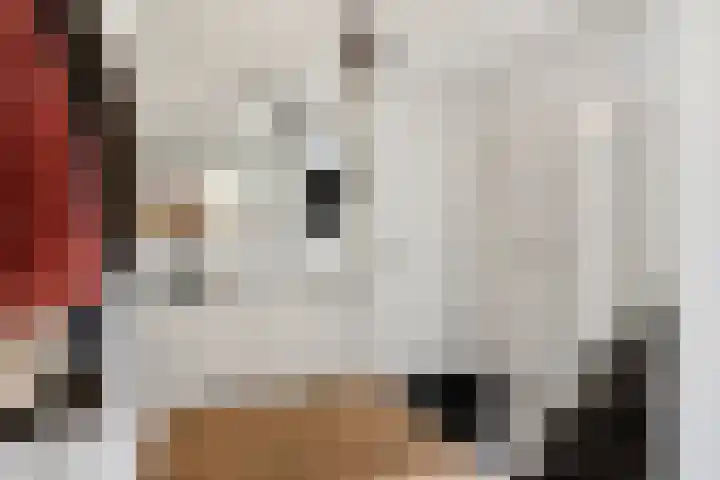Veghelsedijk 26 Uden thumbnail 6