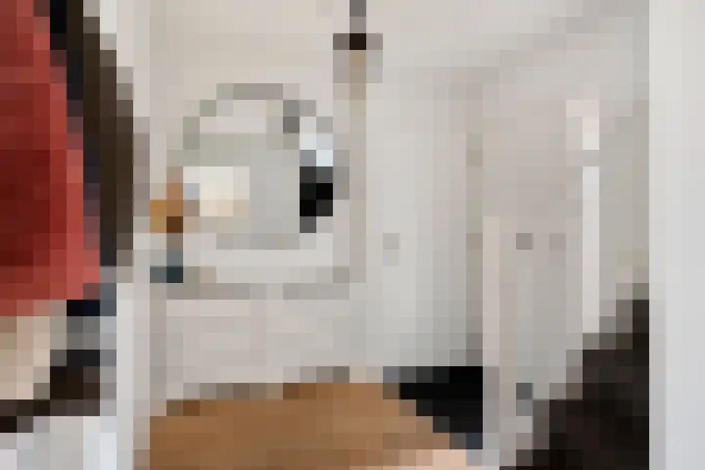 Veghelsedijk 26 Uden thumbnail 6