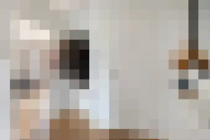 Veghelsedijk 26 Uden thumbnail 8