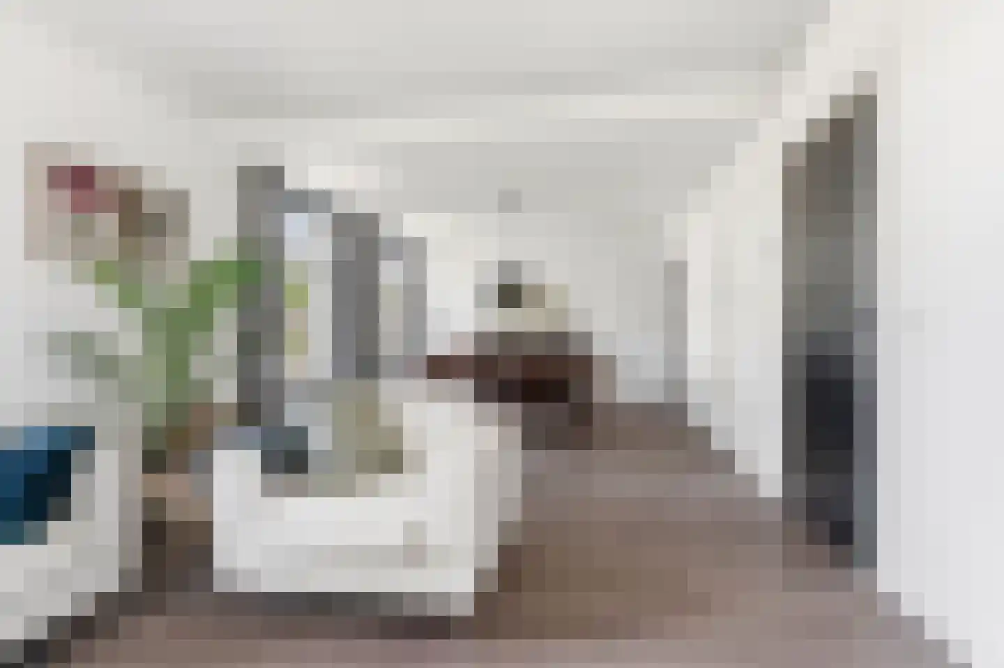Veghelsedijk 64 Schijndel thumbnail 10