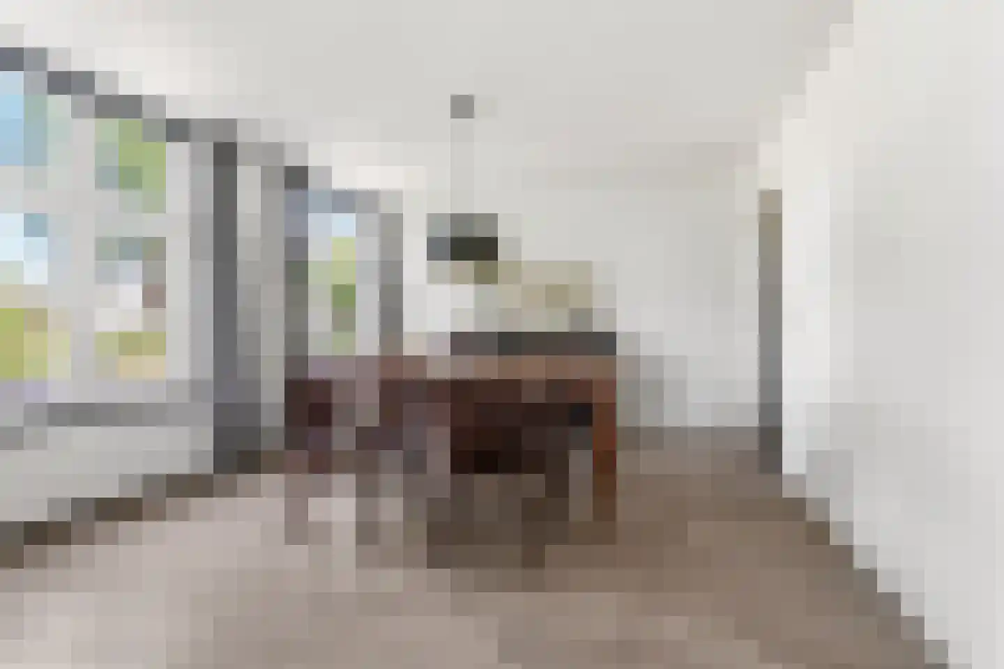Veghelsedijk 64 Schijndel thumbnail 13