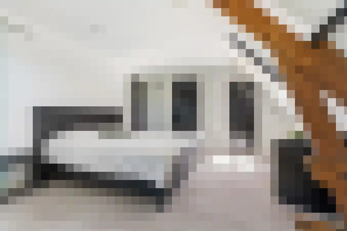 Veghelsedijk 64 Schijndel thumbnail 37