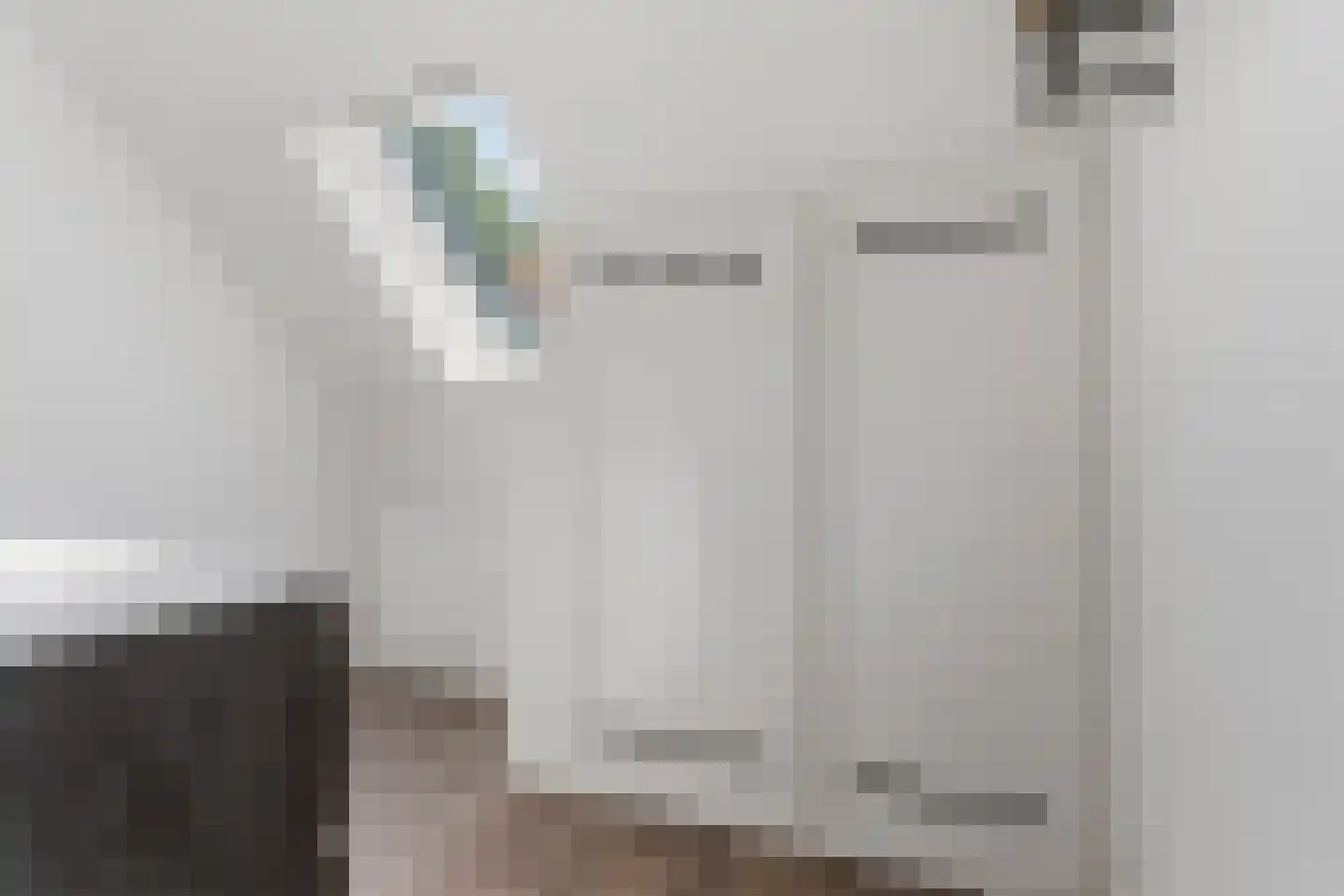 Veghelsedijk 64 Schijndel thumbnail 50
