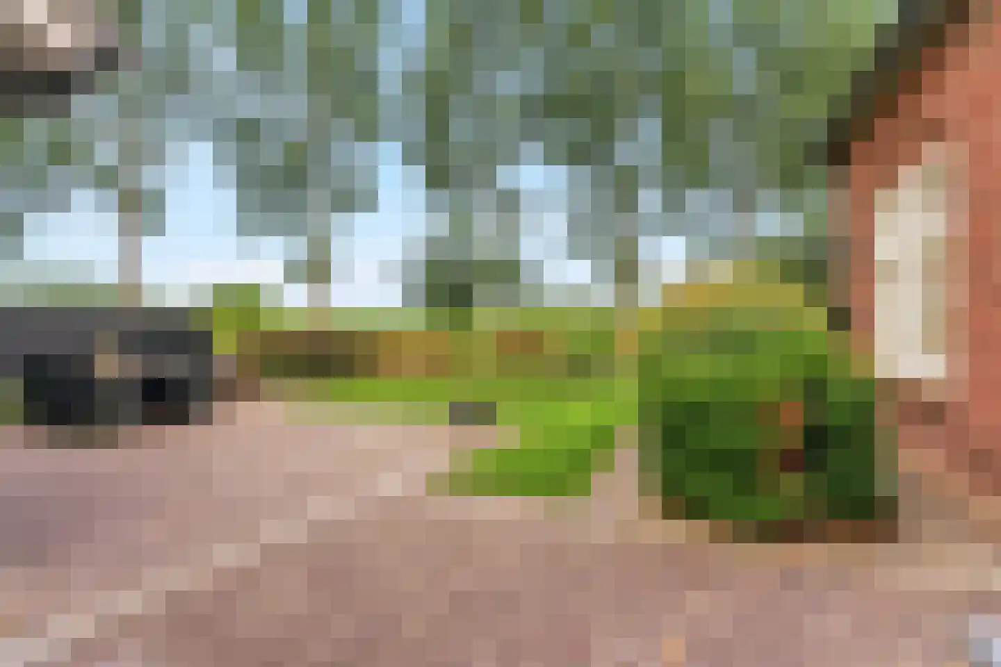Veghelsedijk 64 Schijndel thumbnail 54
