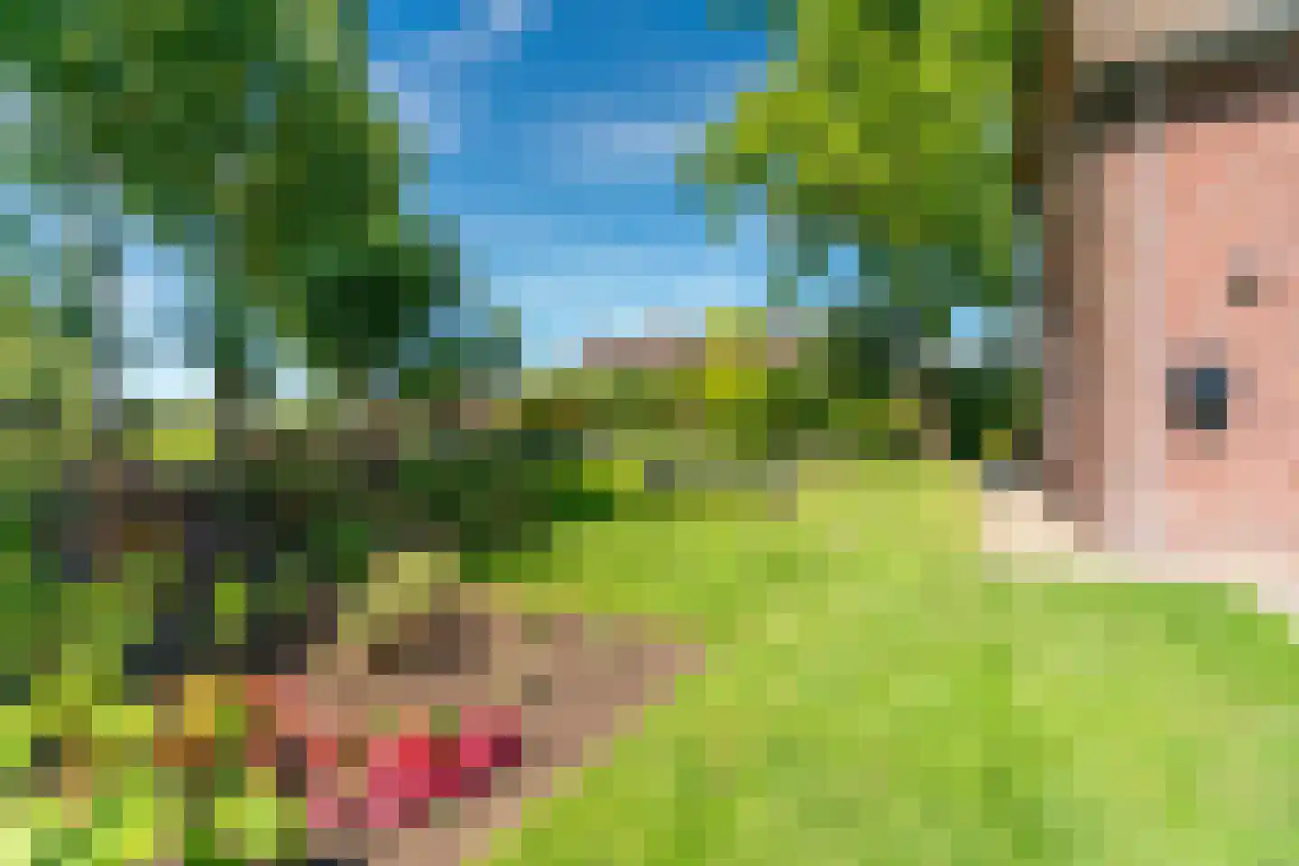 Veghelsedijk 64 Schijndel thumbnail 61