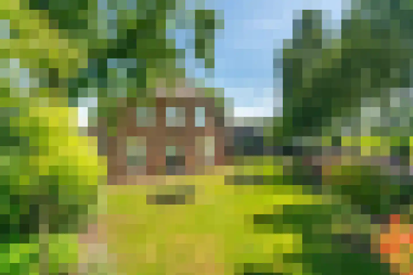 Veghelsedijk 64 Schijndel thumbnail 62