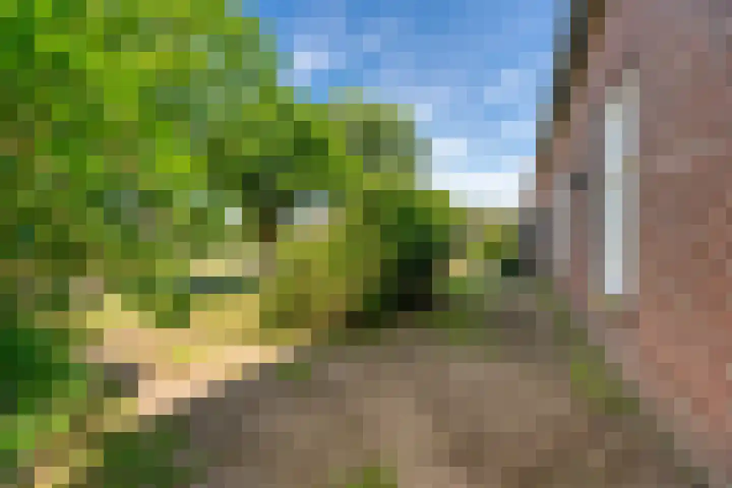 Veghelsedijk 64 Schijndel thumbnail 64