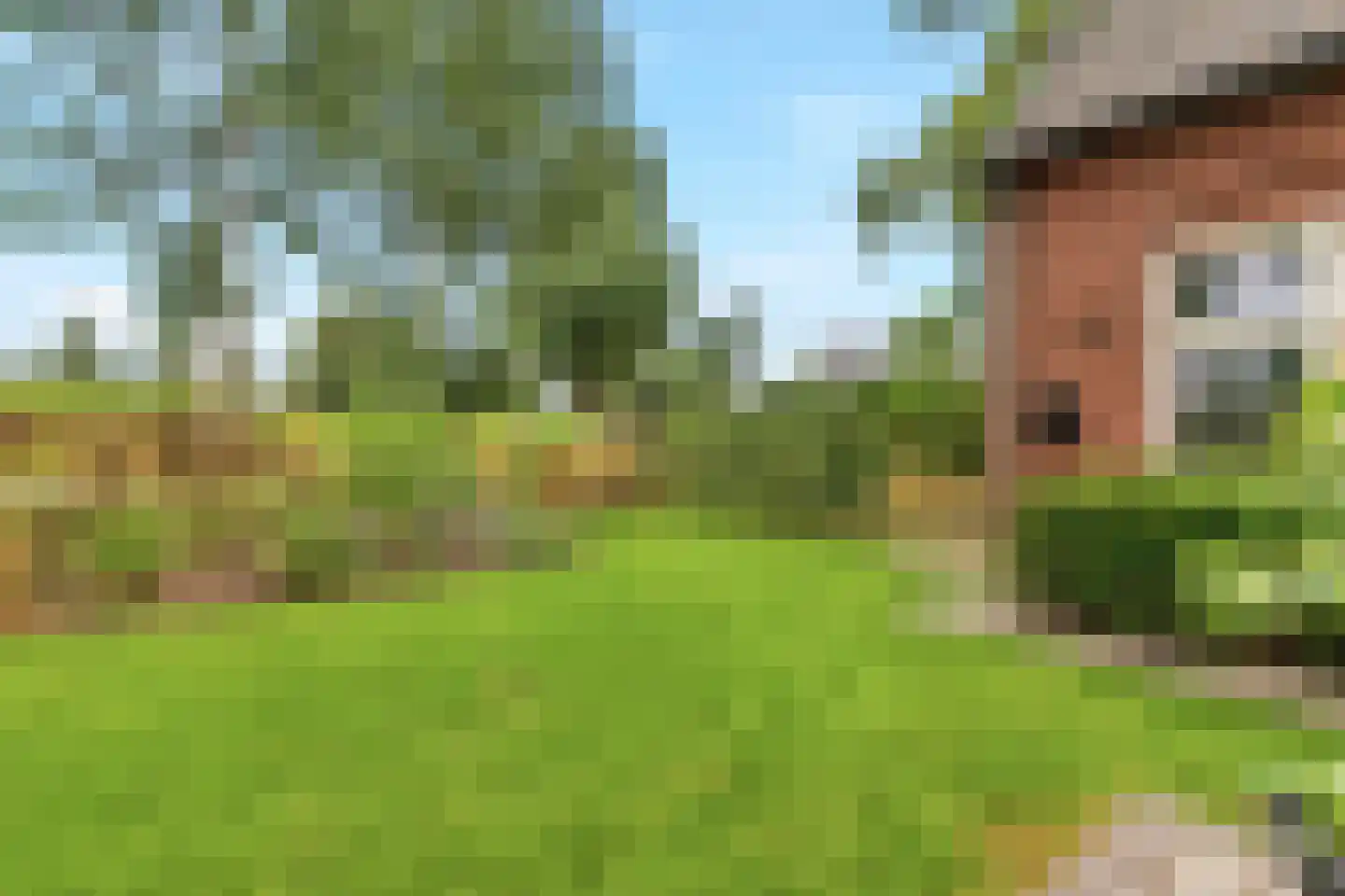 Veghelsedijk 64 Schijndel thumbnail 66
