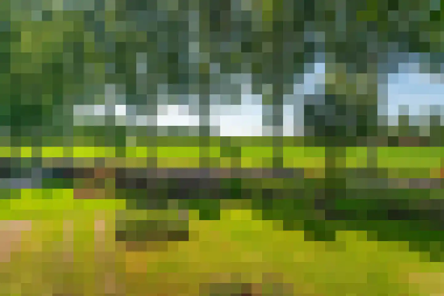 Veghelsedijk 64 Schijndel thumbnail 67