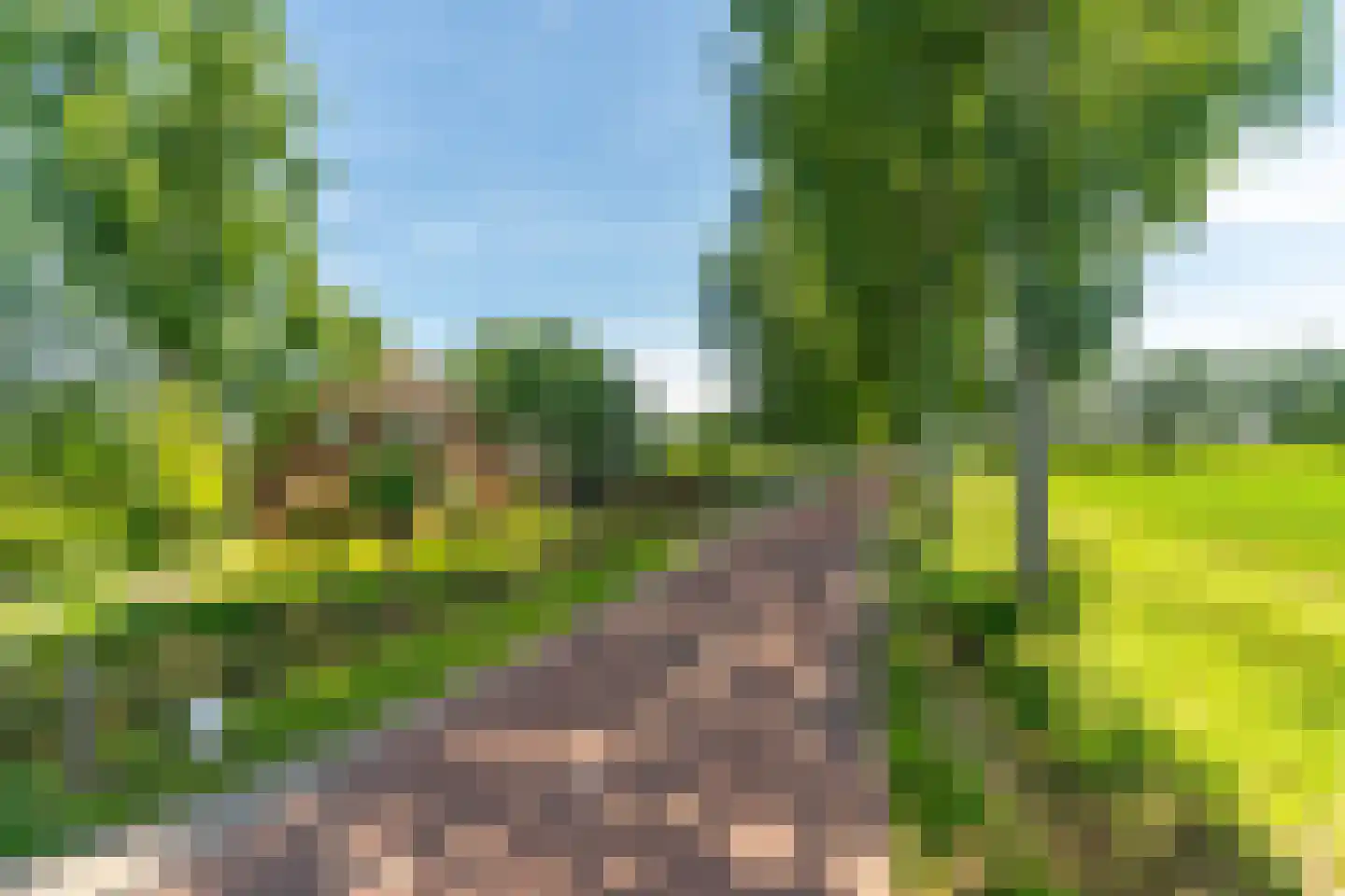 Veghelsedijk 64 Schijndel thumbnail 68