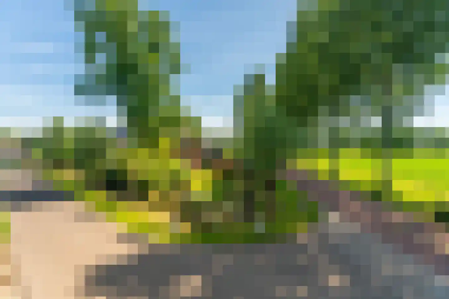 Veghelsedijk 64 Schijndel thumbnail 69