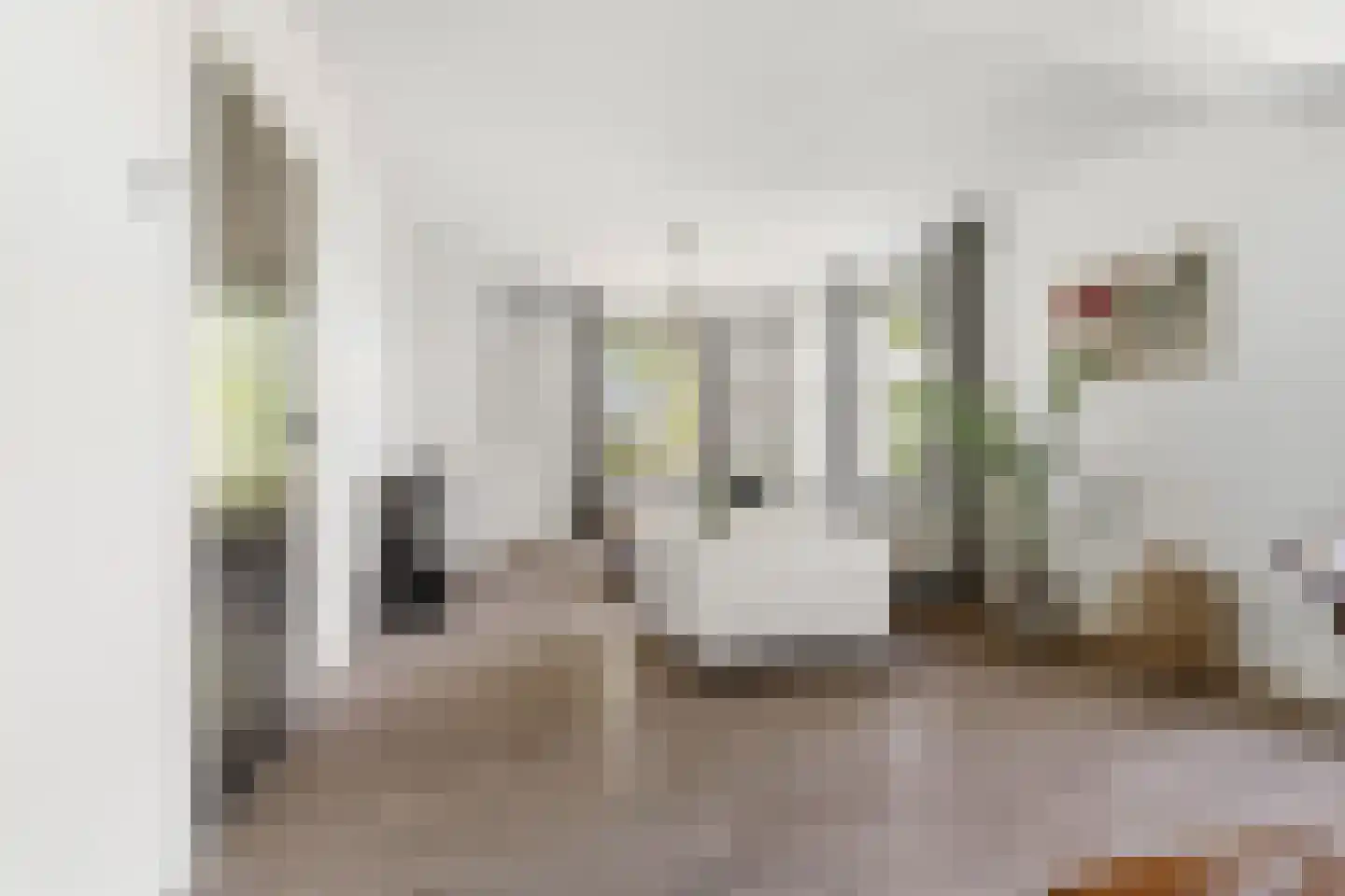 Veghelsedijk 64 Schijndel thumbnail 7