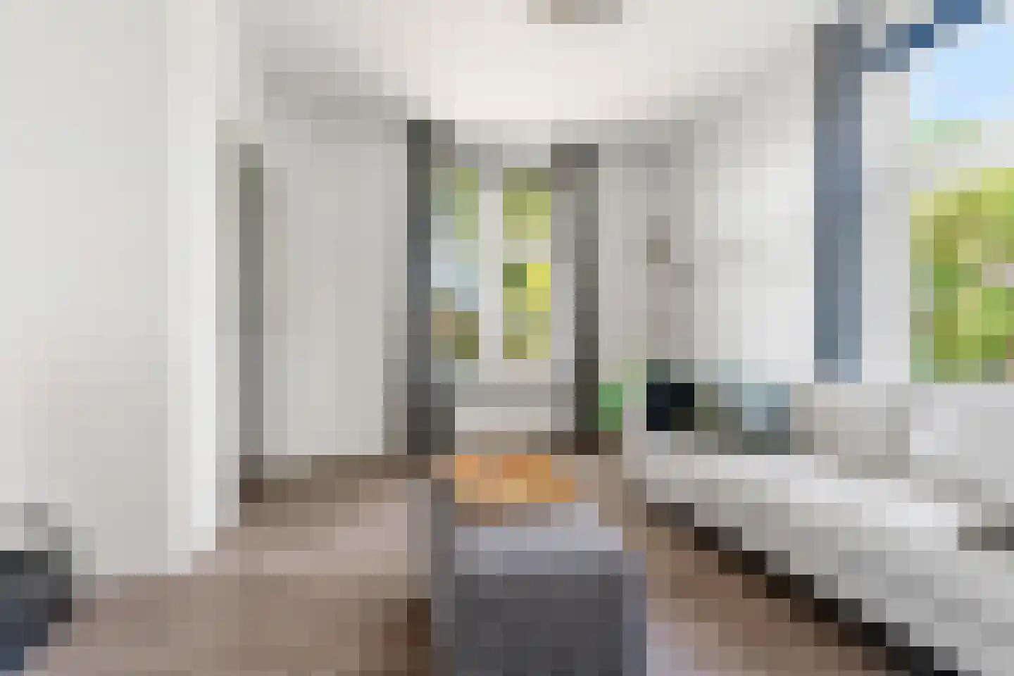 Veghelsedijk 64 Schijndel thumbnail 8