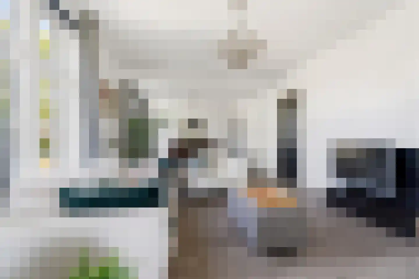 Veghelsedijk 64 Schijndel thumbnail 9