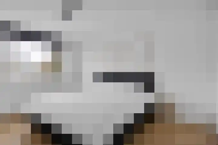 Vegilinstraat 23 Sint Nicolaasga thumbnail 21