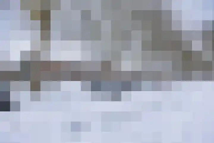 Vegilinstraat 23 Sint Nicolaasga thumbnail 30